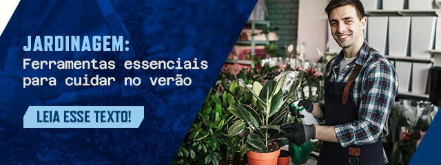 Temporada de jardinagem: ferramentas essenciais para cuidar do jardim no verão