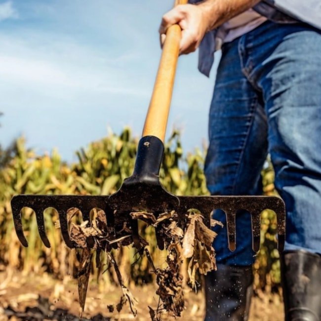 Ancinho Metálico Curvo Leve 12 Dentes Cabo de Madeira 120 cm 77101624 TRAMONTINA-3a9e252e-7f69-4c0c-926d-4164c5f489fd
