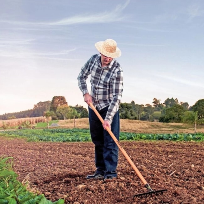 Ancinho Metálico Curvo Leve 16 Dentes Cabo de Madeira 145 cm 77101664 TRAMONTINA-3a4b6fe4-c6d5-4494-b912-587bbf30d59c