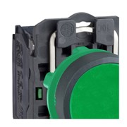 Botão de Impulsão Plástico Verde 22,5mm 1NA XB5AA31 SCHNEIDER