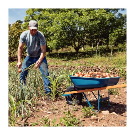 Carrinho de Mão com Caçamba Rasa Plástica 50L Braço de Madeira e Pneu com Câmara 77703422 TRAMONTINA-74bd4e4a-4f68-4482-9978-686f11bf79b7