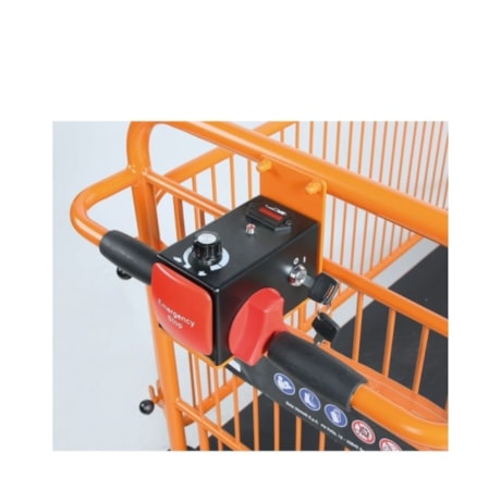 Carrinho de Plataforma Elétrica com Grades Bateria 24V 33Ah C48M BETA-53652fba-deef-469a-8150-cc50444ad8fc