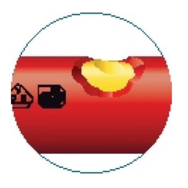 Chave Fixa Isolada 12mm VDE 894-12 GEDORE
-7660f6c9-9eea-4637-b45f-f5708a4d4399