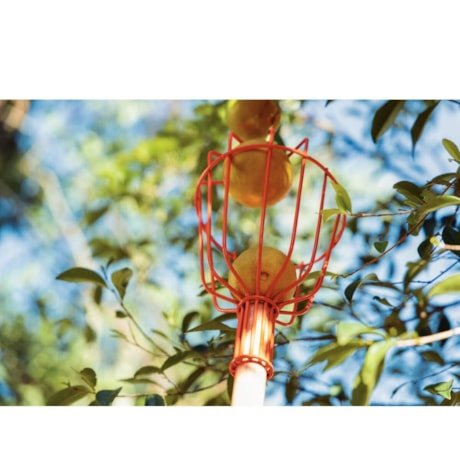Colhedor de Frutas Médio Aço sem Cabo 77819151 TRAMONTINA-78abb000-0a38-46d3-bc16-37602b44cab3
