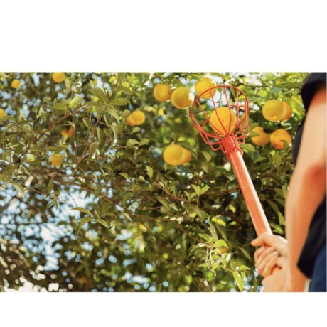 Colhedor de Frutas Pequeno Aço sem Cabo 77819121 TRAMONTINA-4ae9dc20-0dce-47b7-8f10-f97cfb6f71dc