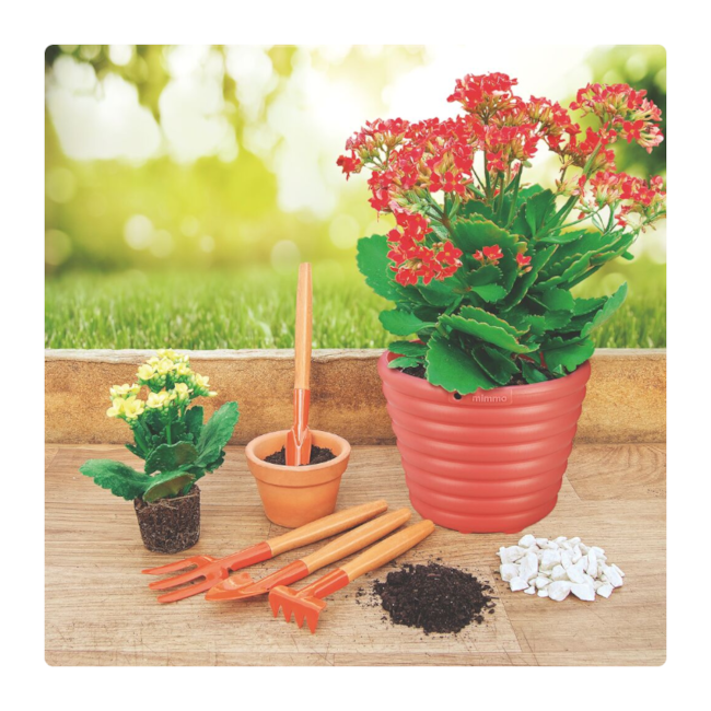 Conjunto de Jardinagem para Vasos com 4 Peças 78104801 TRAMONTINA-8f66fde6-6040-4550-a922-22e1fb96568d