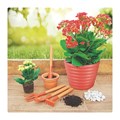 Conjunto de Jardinagem para Vasos com 4 Peças 78104801 TRAMONTINA