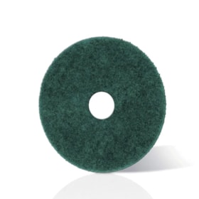 Disco de Cerdas Verde 510mm 9.380-053.0 KARCHER