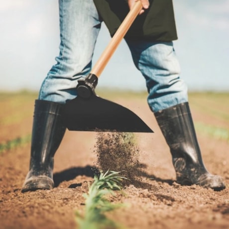 Enxada Canavieira Goivada 2.5 sem Cabo 77215254 TRAMONTINA-85478cbe-1bad-4a9f-ac5d-735556c18eff