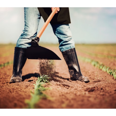 Enxada Canavieira Goivada 2.5LB com Cabo de Madeira 145cm 77215754 TRAMONTINA-0dbe8658-1673-418e-acc4-ac659c9e5d27