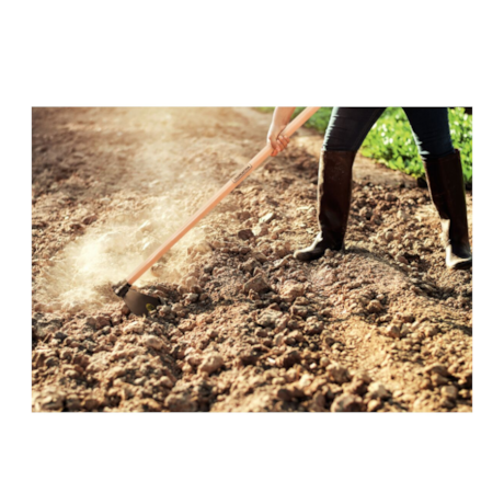 Enxada Estreita com Cabo de Madeira 2,5LB 145cm 77218754 TRAMONTINA-d4959846-311b-4d5f-81de-e2342e10f5de