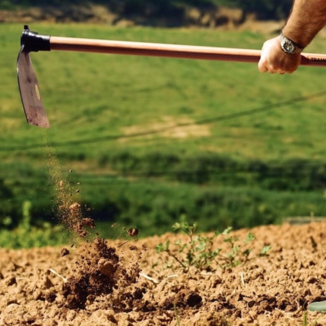 Enxada Larga 1.5 em Aço sem Cabo 77214154 TRAMONTINA-212478d2-d035-4cda-90fd-4f2070596f86