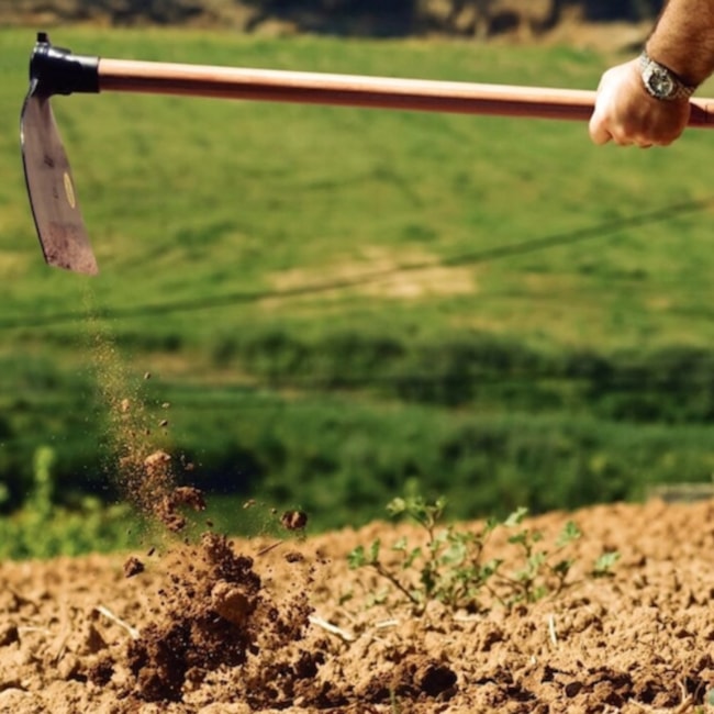 Enxada Larga 2.0 em Aço com Cabo de Madeira 130cm 77214704 TRAMONTINA-bad8de9b-aff8-4931-83fe-9e92e86702c0