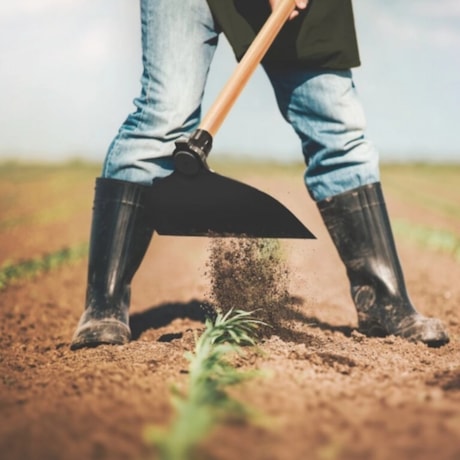 Enxada Larga 2.5 em Aço com Cabo de Madeira 145cm 77254754 TRAMONTINA-4f287af3-bfaa-4e47-a8bd-1bf6f403337b