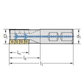 Fresa Tipo Abacaxi F2038MF08015580 WALTER