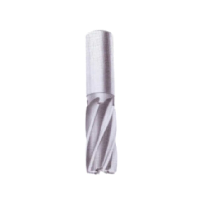 Fresa Topo Reto HSS-Co 10,00mm 4 Cortes 1511 INDACO-b4e897af-629e-43eb-bd34-f113c2f6ca54