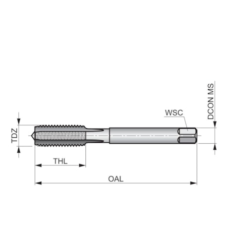 Jogo de Machos MAN HSS BSP G 1/8