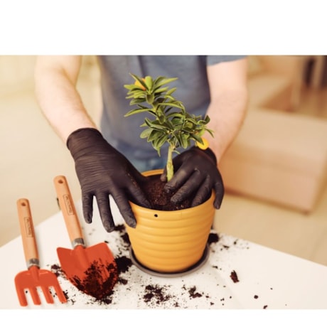 Jogo para Jardinagem Cabo de Madeira com 3 Peças 78100801 TRAMONTINA-c71be5c2-fd89-407b-9eea-9a7af132f50a