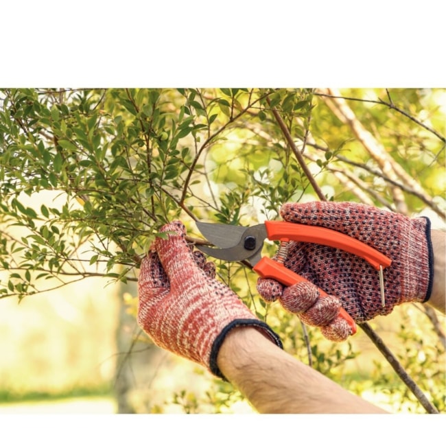 Kit Jardinagem Cortador de Grama a Gasolina Tramontina CC50M + Tesoura de Poda + Vassoura Plástica Laranja-11de1083-9d7c-4f6e-9c74-217a1a13607f