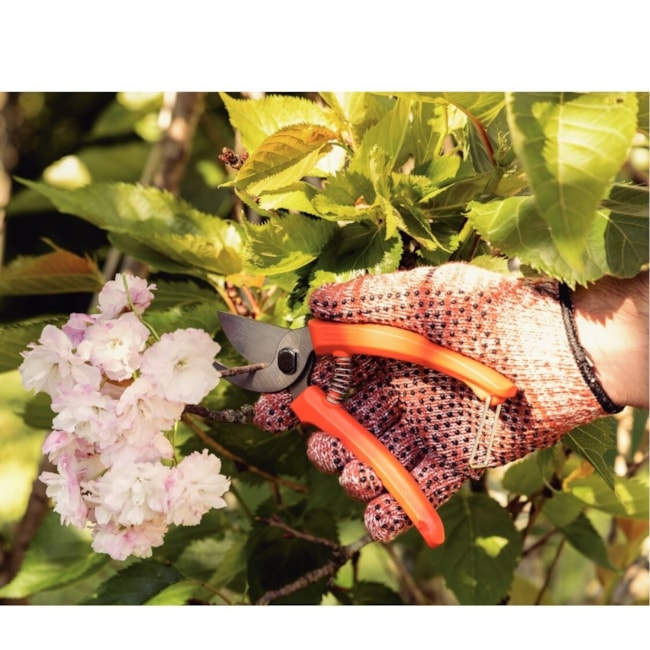 Kit Jardinagem Tramontina Cortador de Grama Elétrico 2500W 110V 79683250 + Tesoura de Poda Manual + Vassoura Plástica para Jardinagem-c46f9a05-2ff4-46d9-8a30-3cae80637839