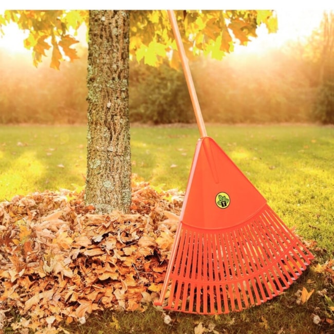 Kit para Jardinagem Tramontina Aparador de Grama Elétrico AP1000T 280mm 1000W + Vassoura com 26 Dentes + Tesoura Cerca Viva/Grama-86ff8868-050a-4feb-8ef2-29ed991c321d