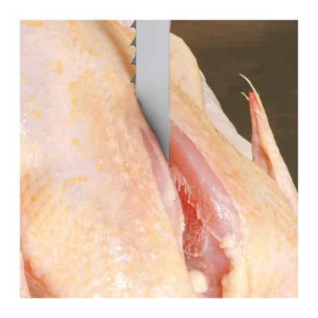 Lâmina de Serra Fita para Carnes 16 x 0,46mm 3 Metros MKP16X6/SK-4 STARRETT-ab04df23-c405-4747-a80c-cac68219cd2e