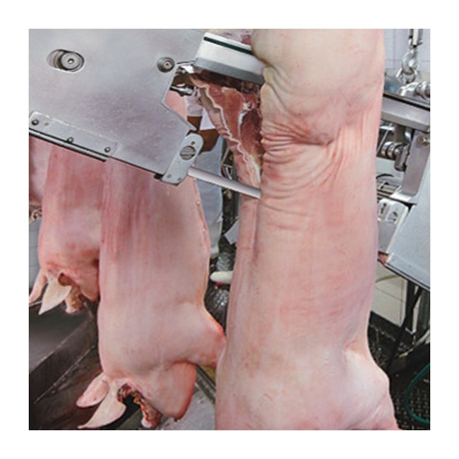 Lâmina de Serra Fita para Carnes 19 x 0,55mm 2,85 Metros CKP19X4/P STARRETT-301f15f5-3267-4b89-9c50-b0b75707735b