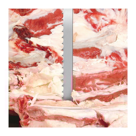 Lâmina de Serra Fita para Carnes 19 x 0,55mm 3 Metros MKP19X4/P STARRETT-b1096641-3fdc-44a4-b068-4fd7e97c79f9