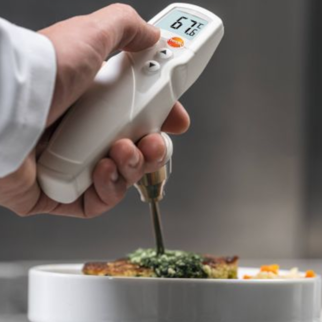 Medidor Portátil Medição de PH/Temperatura Para Meios Semi-Sólidos 0 a +60 °C 205 TESTO-dbd8465e-3059-4faf-963f-e0e51e492751