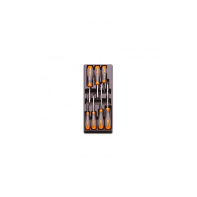Módulo Jogo de Chave de Fenda e Philips para Gaveta Padrão Tipo 1 em Placa Plástica T180 BETA-4d2f39b4-4dd7-4e11-acc1-76bde783a513