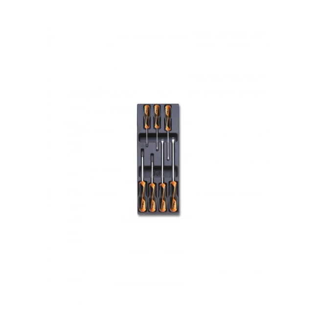 Módulo Jogo de Chave Fenda e Philips para Gaveta Padrão Tipo 1 em Placa Plástica T208 BETA-6b25c160-dda0-47fc-b233-33e7399277da
