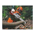 Motosserra à Gasolina 20'' 5.3CV Sabre 50cm MS 382 STIHL