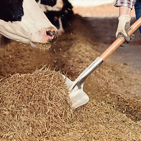 Pá Carvoeira em Alumínio com Cabo de Madeira 71cm Empunhadura 77531426 TRAMONTINA-54ee27b2-8212-486d-800e-4287c82f2561
