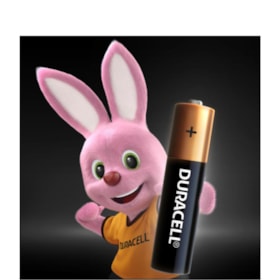 Pilha Alcalina Palito AAA com 2 Peças 44830 DURACELL