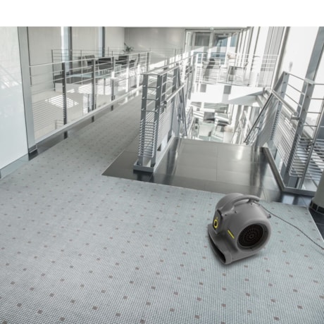 Secador de Piso 520W 1400RPM 220V AB 30 KARCHER-163ed69e-0f7b-48a5-b0ff-ab094aab82c9