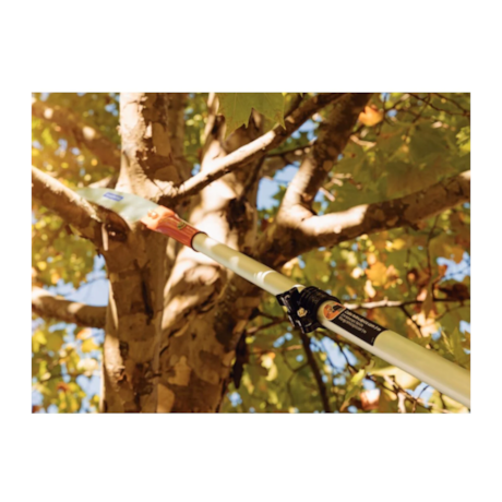 Serra Poda 13'' com Cabo de Madeira 145cm 78382771 TRAMONTINA-ad4adacc-1be3-47fd-a6bf-aa33c52e85e5