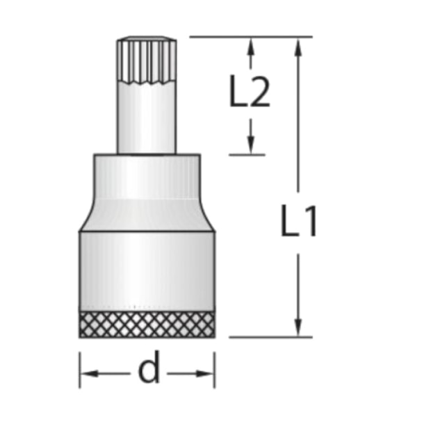 Soquete Multidentado 8mm 1/2