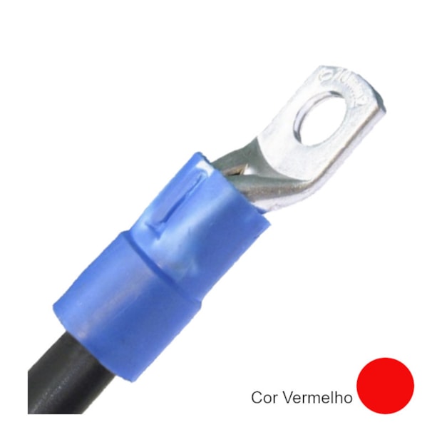 Terminal Pré Isolado Olhal 10mm² INTELLI-0cf84658-d0f2-4296-bc6d-7a36a7d17c5e