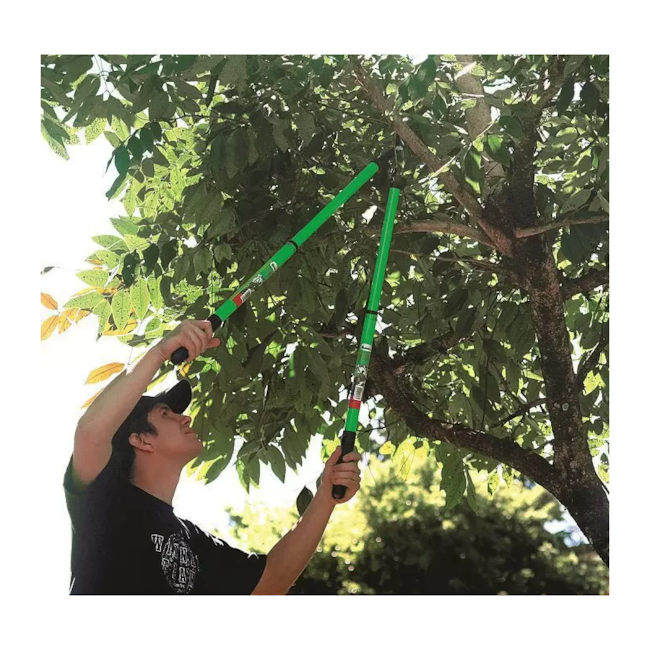 Tesoura Corta Galho By-Pass 70cm TS-30850 TRAPP-0893a18e-4bd0-4baf-a658-a60bdc88370c