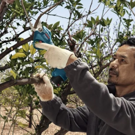 Tesoura de Poda 25mm 12V com 2 Baterias 2.0Ah Carregador Bivolt e Maleta PRO PRUNER BOSCH