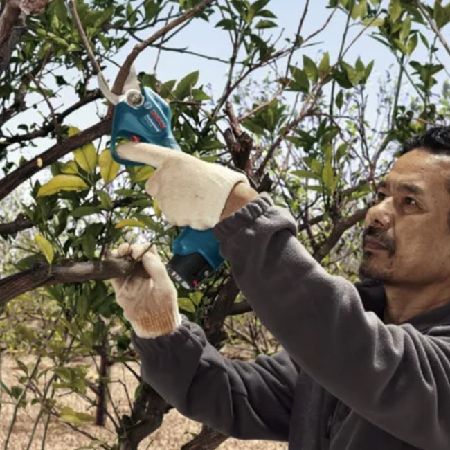 Tesoura de Poda 25mm 12V com 2 Baterias 2.0Ah Carregador Bivolt e Maleta PRO PRUNER BOSCH-a936928b-e4fd-4529-a209-755b96f9d322