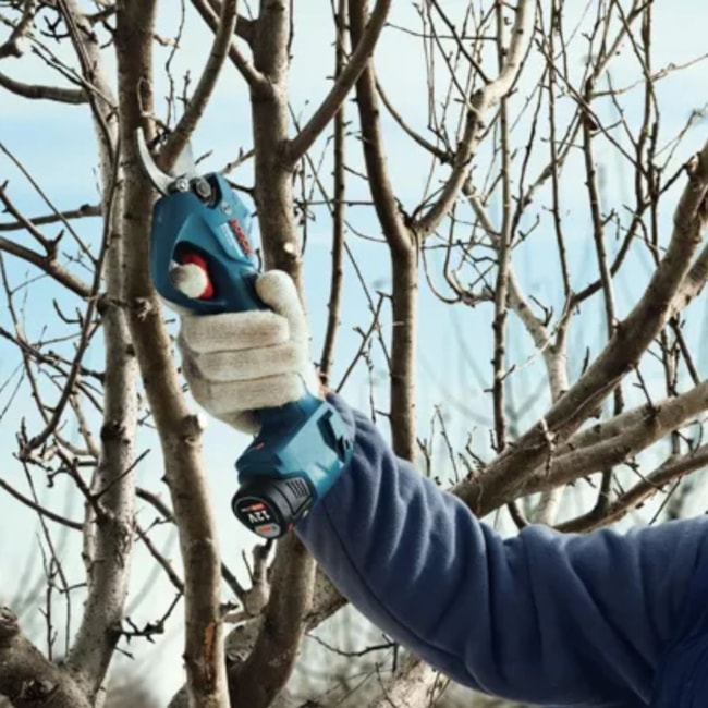 Tesoura de Poda 25mm 12V com 2 Baterias 2.0Ah Carregador Bivolt e Maleta PRO PRUNER BOSCH-f1a67fe7-1cfe-482d-90f6-5f24c8520e07