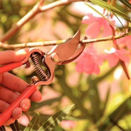 Tesoura de Poda Forjada em Aço com Cabo Emborrachado 78309511 TRAMONTINA-be31ee94-1c61-4fd5-83e9-c2e602557c9b