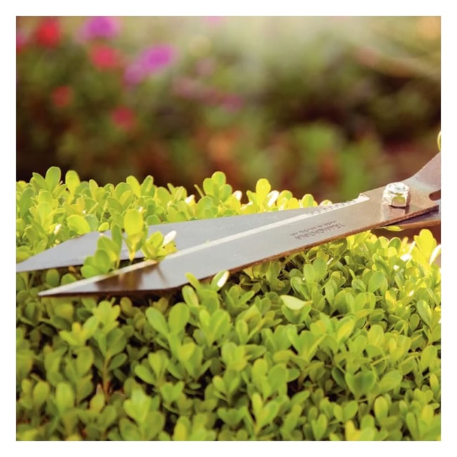 Tesoura para Cerca Viva 12