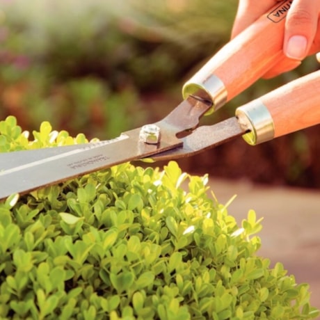 Tesoura para Cerca-Viva Grama 12