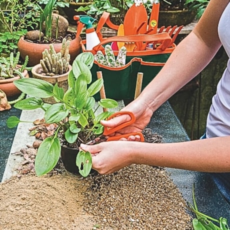 Tesoura para Frutas com Lâminas em Aço Inox 78311051 TRAMONTINA-71a67473-52d9-4843-a792-1a4e552adc3f