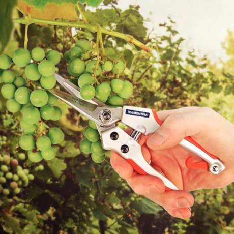 Tesoura para Frutas Profissional em Aço com Cabo Emborrachado 78316520 TRAMONTINA-af8b1d98-af1d-48b4-bc52-8168924d460a