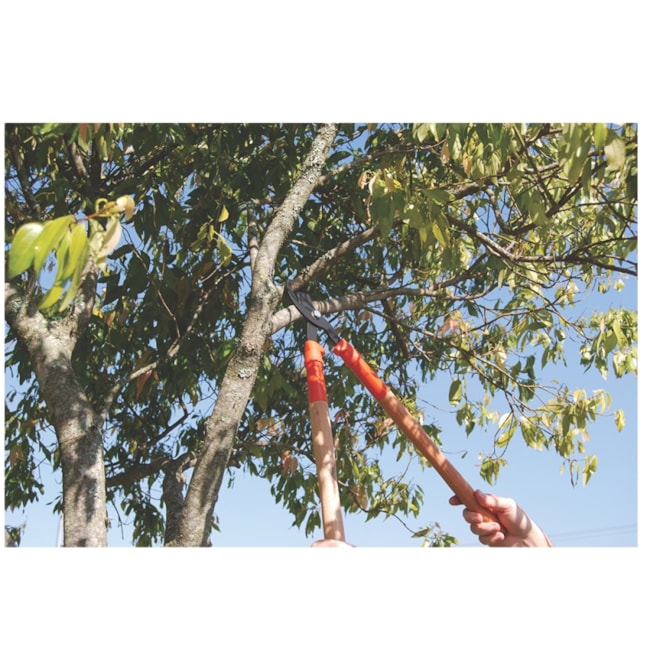 Tesoura para Poda com Cabo de Madeira 60cm 78360505 TRAMONTINA-254932c9-c105-4198-ad30-47f57a3ba0e3