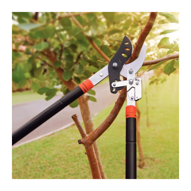 Tesoura para Poda com Cabo Extensível Bypass 78363505 TRAMONTINA-fcdb9348-6dd3-4356-bfab-0789585b2b53