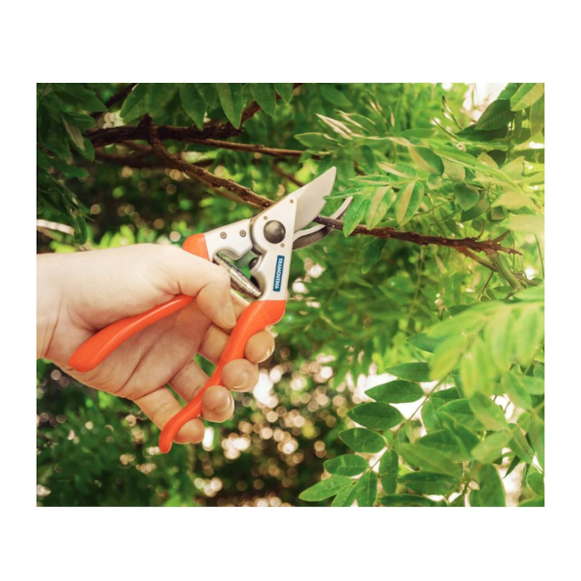 Tesoura para Poda Profissional Bypass 78305501 TRAMONTINA -75f81d16-b700-4fa5-8282-f33898c8b5db